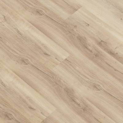 Panele podłogowe Dąb Dreesia AC3 8 mm - obrazek 2