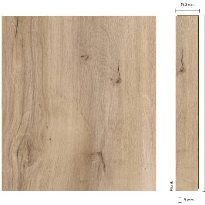 Panele podłogowe Dąb Dreesia AC3 8 mm - obrazek 4